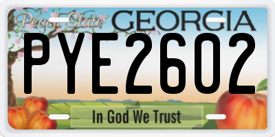 GA license plate PYE2602