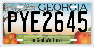 GA license plate PYE2645