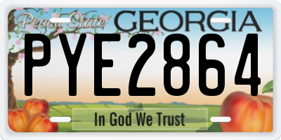 GA license plate PYE2864
