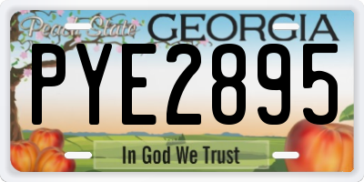 GA license plate PYE2895