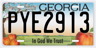 GA license plate PYE2913
