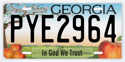 GA license plate PYE2964
