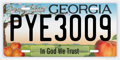 GA license plate PYE3009
