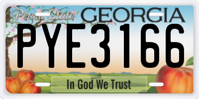 GA license plate PYE3166
