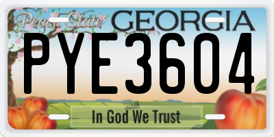 GA license plate PYE3604