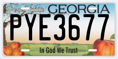 GA license plate PYE3677