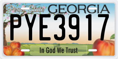 GA license plate PYE3917