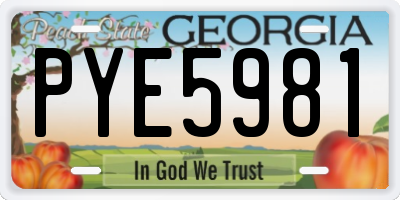 GA license plate PYE5981