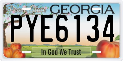 GA license plate PYE6134