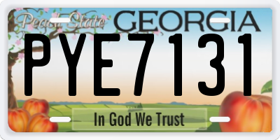GA license plate PYE7131