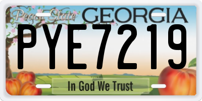 GA license plate PYE7219