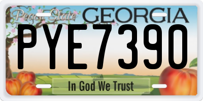 GA license plate PYE7390