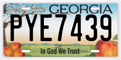 GA license plate PYE7439