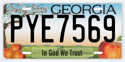 GA license plate PYE7569
