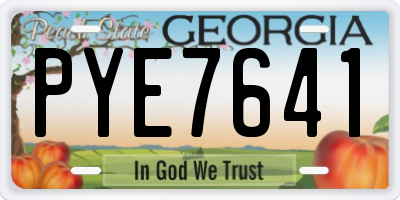 GA license plate PYE7641