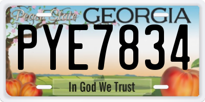 GA license plate PYE7834