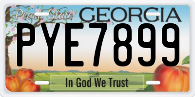 GA license plate PYE7899
