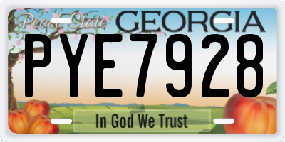 GA license plate PYE7928
