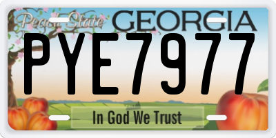 GA license plate PYE7977