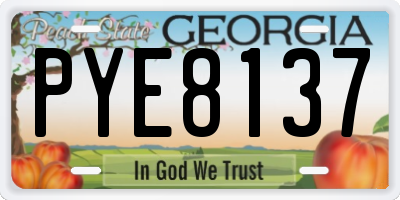 GA license plate PYE8137