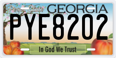 GA license plate PYE8202