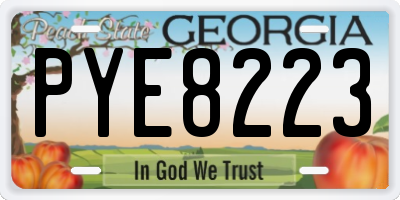 GA license plate PYE8223