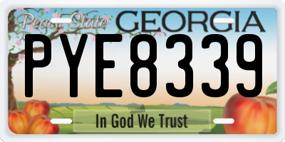 GA license plate PYE8339
