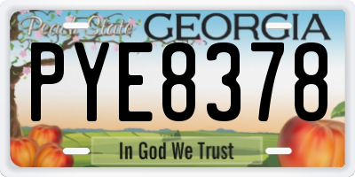 GA license plate PYE8378