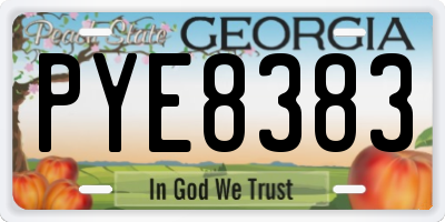 GA license plate PYE8383