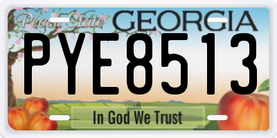 GA license plate PYE8513