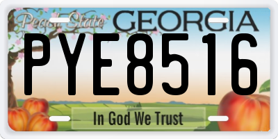 GA license plate PYE8516