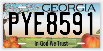 GA license plate PYE8591