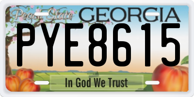 GA license plate PYE8615