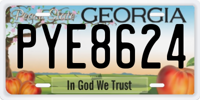 GA license plate PYE8624