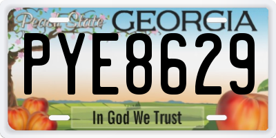 GA license plate PYE8629