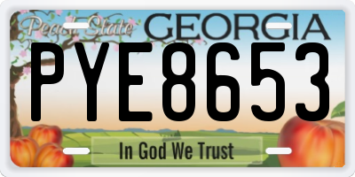 GA license plate PYE8653