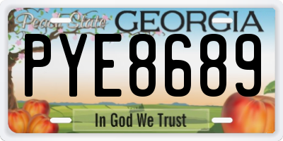 GA license plate PYE8689