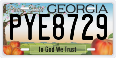 GA license plate PYE8729