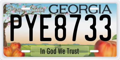 GA license plate PYE8733