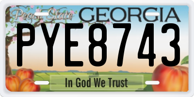 GA license plate PYE8743
