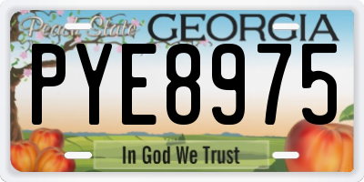 GA license plate PYE8975