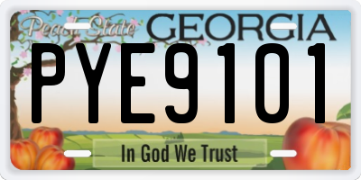 GA license plate PYE9101