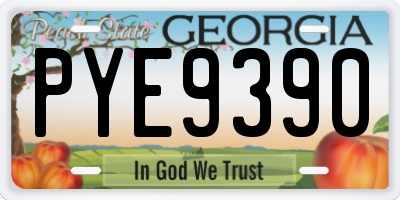 GA license plate PYE9390