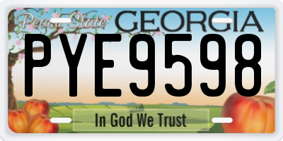 GA license plate PYE9598