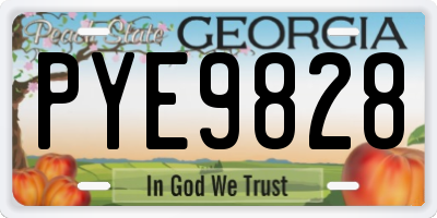 GA license plate PYE9828