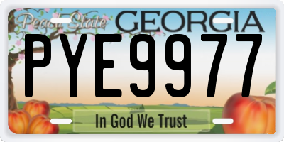GA license plate PYE9977
