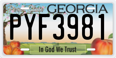 GA license plate PYF3981