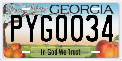 GA license plate PYG0034
