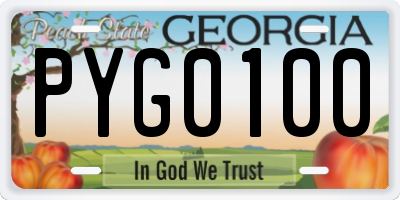 GA license plate PYG0100