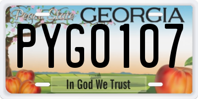 GA license plate PYG0107